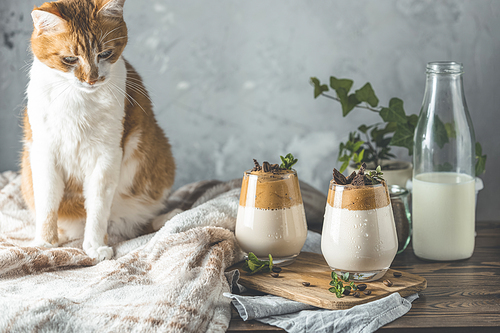 Cute red white cat and Two glasses of Iced Dalgona Coffee on dark wooden surface. Trend korean drink latte espresso with coffee. Cozy home concept. Stay at home and relax.