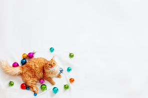 Cute ginger cat lies among christmas decorations - bright colorful balls. The fluffy pet comfortably settled to play. Cozy holiday background, morning bedtime at home. Flat lay, top view.