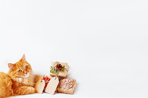 Cute ginger cat lies with stack of christmas presents. New Year gifts are wrapped in craft paper and have empty tags for your text.