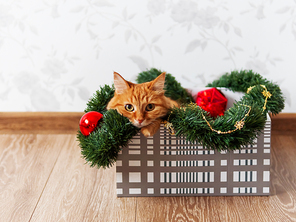 Cute ginger cat lying in box with Christmas and New Year decorations. Fluffy pet is doing to play there.