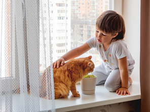 Toddler boy sits on windowsill and feeds cute ginger cat with green grass from flower pot. Little child with fluffy pet. Specially grown plant for domestic animal.