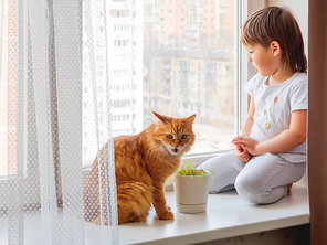 Toddler boy sits on windowsill and feeds cute ginger cat with green grass from flower pot. Little child with funny fluffy pet. Specially grown plant for domestic animal. Cat with shocked expression on face.
