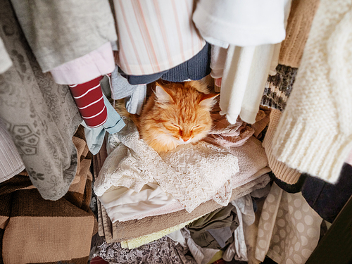 Cute ginger cat sleeps on pile of clothes. Fluffy pet has a nap in wardrobe. Domestic animal comfortably settled to sleep among towels and outfits.