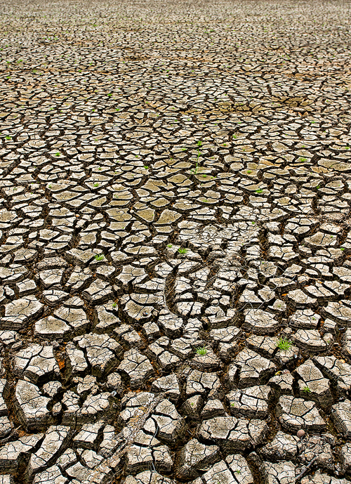 Cracked Dry Land Without Water