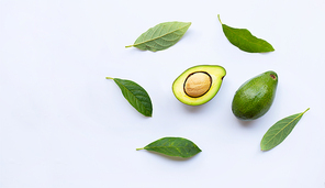 Avocado with green leaves on a white background.