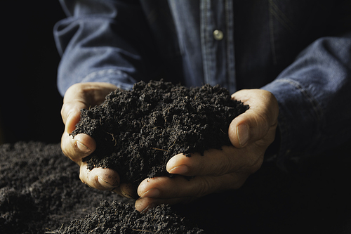 Male holding soil in the hands for planting concept.