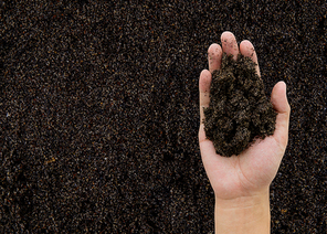 Soil in hand with earth background -Environment concept.