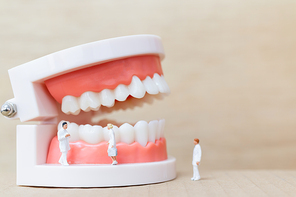 Miniature people : dentist and nurse observing and discussing about human teeth with gums and enamel