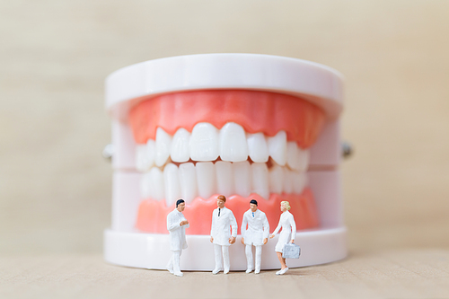 Miniature people : dentist and nurse observing and discussing about human teeth with gums and enamel