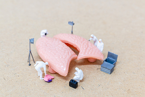 Miniature people , Scientist observing and discussing about human lungs , Virus and bacteria infected Concept