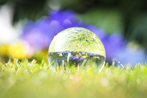 Large droplet on green grass with a reflection of colorful spring flowers
