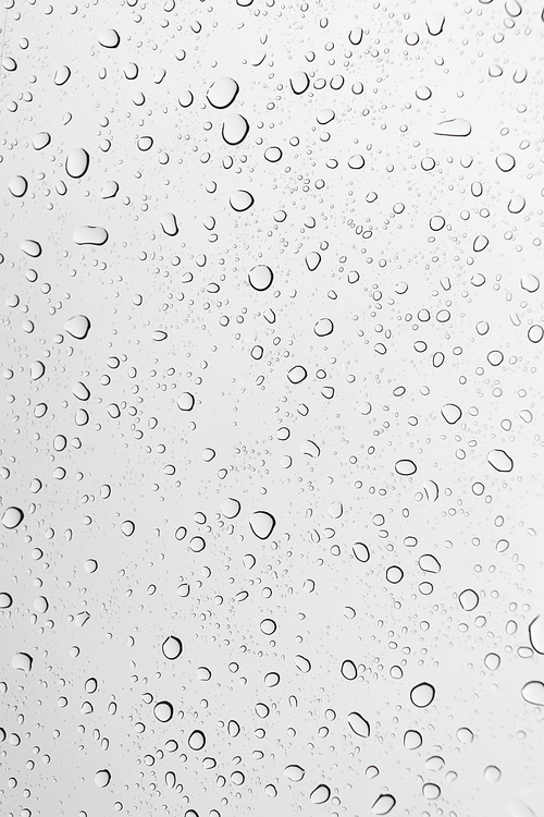 Water drops , rain drops on glass