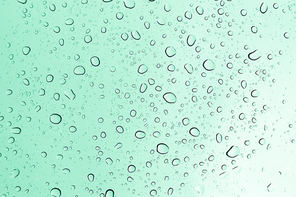 Water drops , rain drops on glass