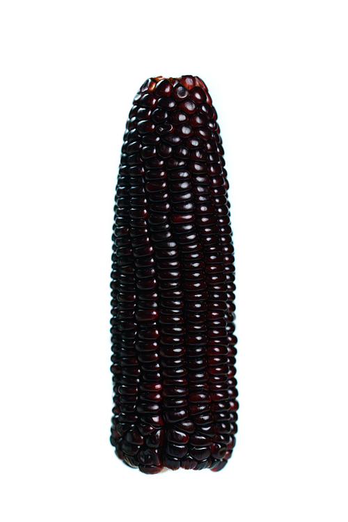 purple corn  isolated on white . isolated