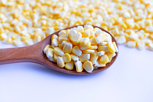 Corn seeds on wooden spoon.