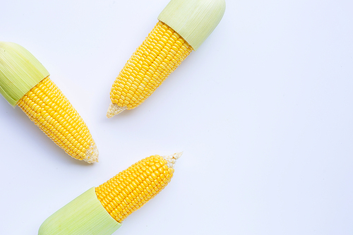 Fresh corn on a white background. Copy space