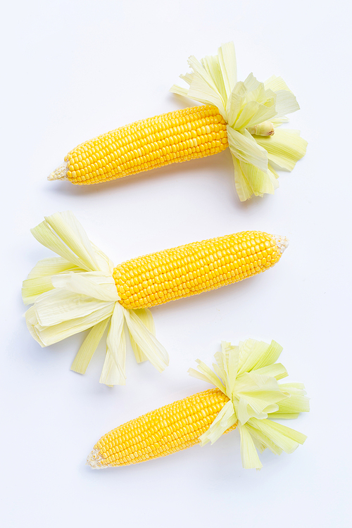 Fresh corn on a white background.