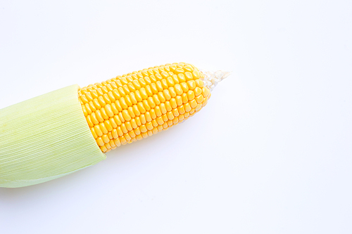 Fresh corn on a white background.