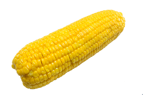 Corn on isolated.
