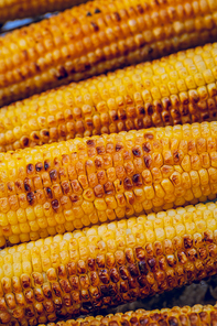 Yellow Food Background. Food Still Life. Delicious Grilled Sweetcorn. Autumn Harvest Season. Thanksgiving Day Meal.