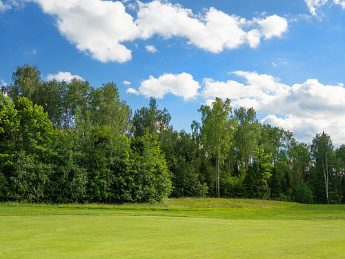 Countryside golf course. Green cutted grass on field, forest and blue sky. Cloudscape in sunny day. Russia.