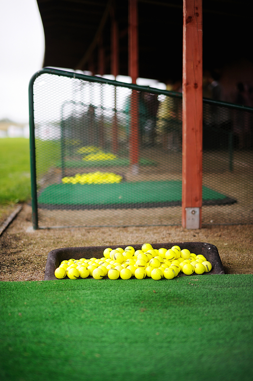 Lots of yellow golf balls on a golf field