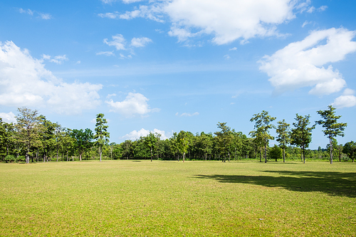 Park with green grass field , Beautiful park scene background