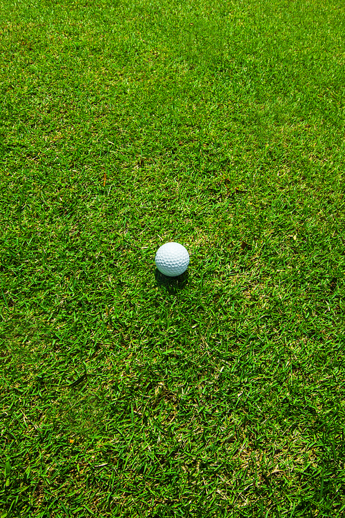 Golf ball on green grass, top view golf course with copy space