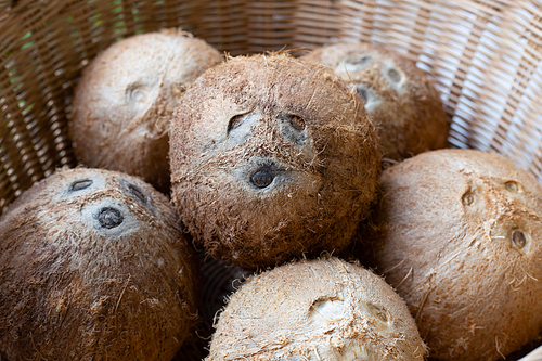 Top view of ripe coconuts in wicker basket.
