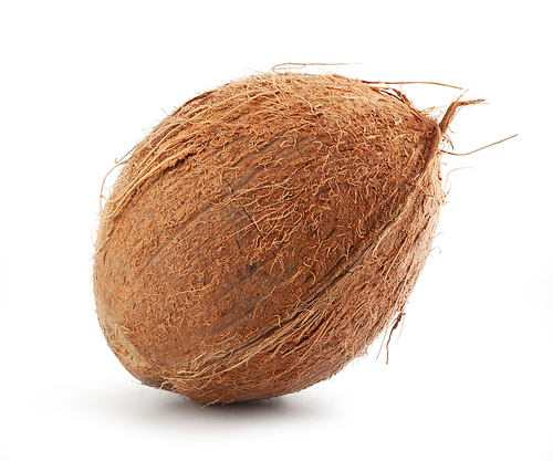 Isolated whole brown coconut on the white background