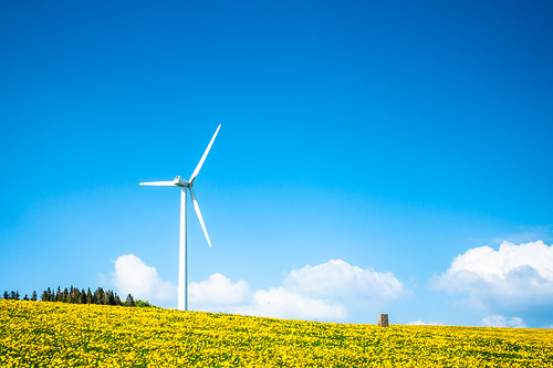 An image of a wind energy turbine in the dandelion meadow