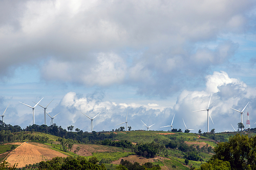 Wind turbines on sunny morning