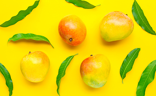 Tropical fruit, Mango  on yellow background.