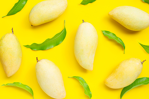 Tropical fruit, Mango  on yellow background. Top view