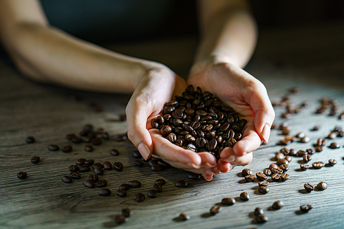 Woman's hands holding roasted coffee beans, closeup