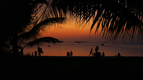Silhouette of people on tropical beach at sunset - Tourists enjoying time in summer vacation - Travel, holidays and landscape concept - Focus on palm tree