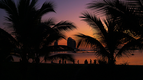 Silhouette of people on tropical beach at sunset - Tourists enjoying time in summer vacation - Travel, holidays and landscape concept - Focus on palm tree. Hainan, Sanya.
