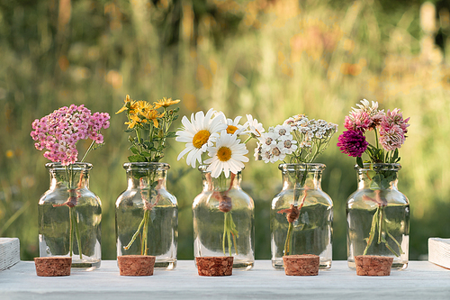 Several small bottles with blooming medicinal herbs, homeopathy or alternative medicine concept.