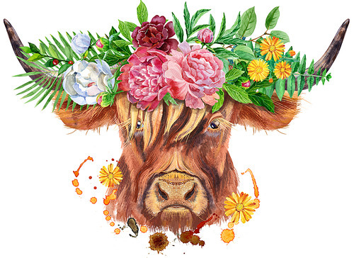 Bull watercolor graphics. Bull animal illustration with flowers and splashes. Watercolor textured background.
