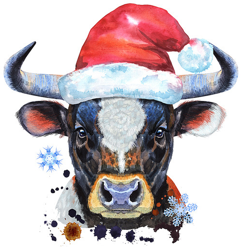 Bull in Santa hat. Watercolor graphics . Bull animal illustration with splashes and snowflakes.