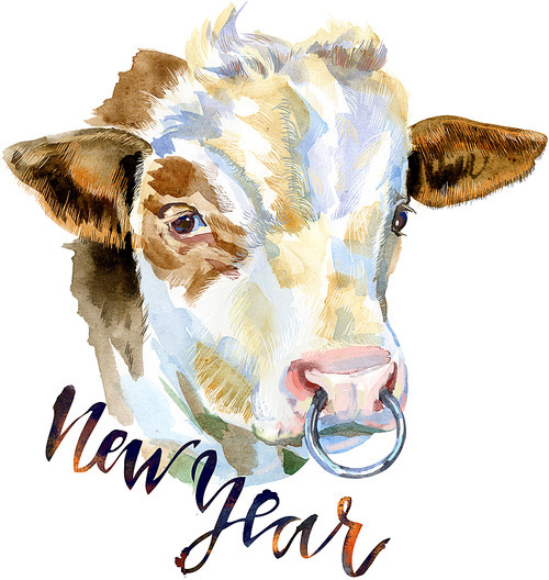 Bull with the inscription New Year. Watercolor graphics. Bull animal illustration watercolor textured background.