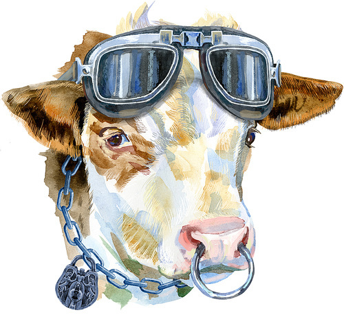 Bull watercolor graphics. Bull with biker glasses. Animal illustration watercolor textured background.