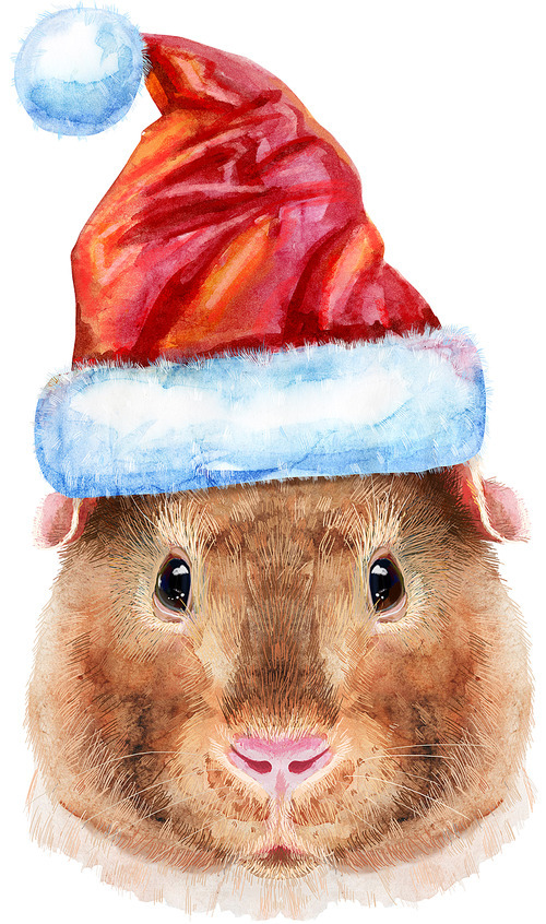 Guinea pig with Santa hat. Pig for T-shirt graphics. Watercolor Teddy guinea pig illustration