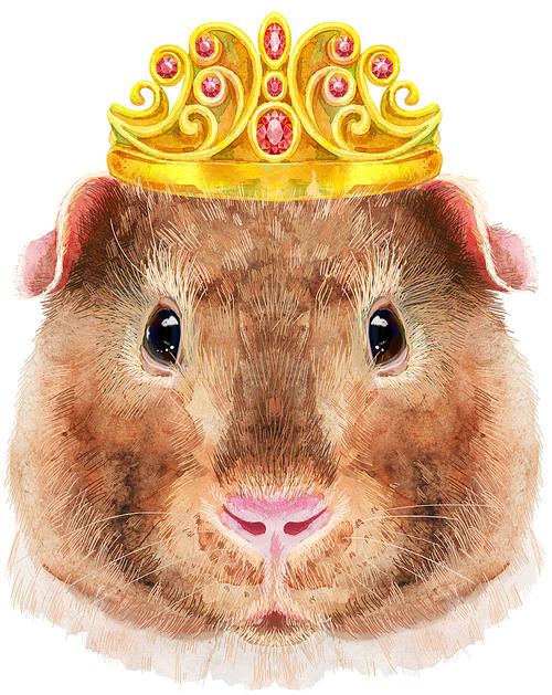 Guinea pig with golden crown. Pig for T-shirt graphics. Watercolor Teddy guinea pig illustration