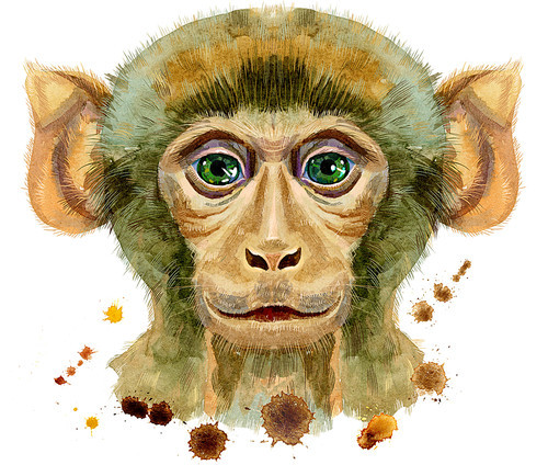 Monkey head horoscope character isolated on white. Monkey watercolor illustration with splashes.