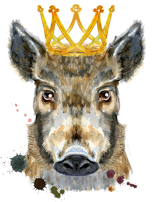 Cute piggy with golden crown. Wild boar for T-shirt graphics. Watercolor brown boar illustration