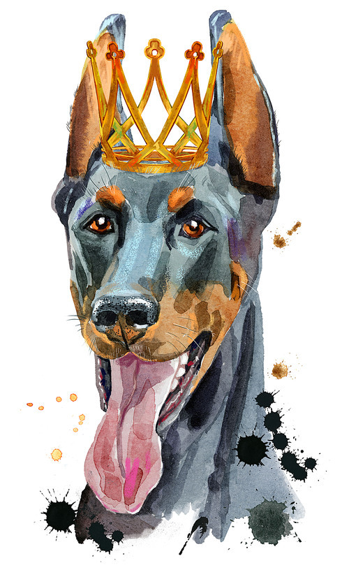 Cute Dog with crown. Dog T-shirt graphics. watercolor doberman illustration