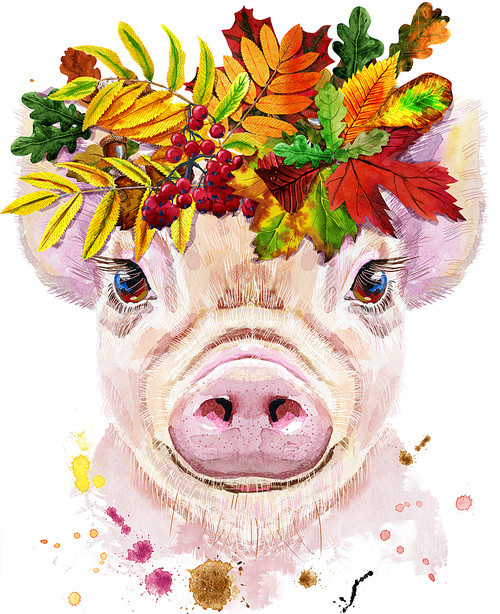 A beautiful pig in a wreath of leaves. Flowers. Watercolor illustration with splashes.