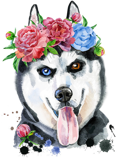 Cute Dog with flowers. Dog T-shirt graphics. watercolor husky
