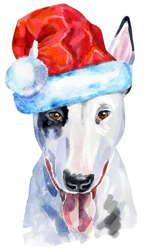 Cute Dog. Dog for T-shirt graphics. watercolor bull terrier illustration with Santa hat